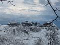 Neve (86)